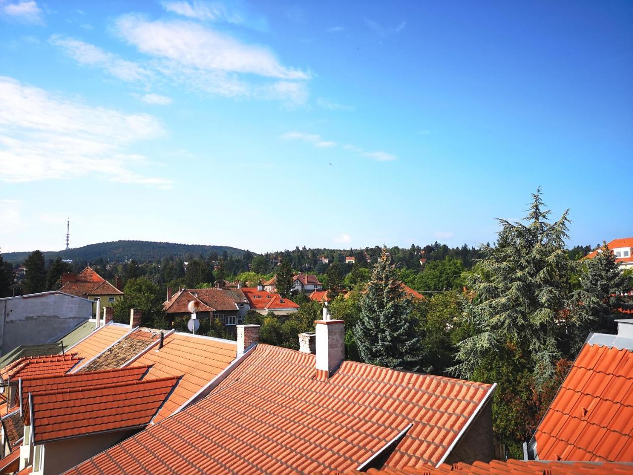 Hoke Lakas Appartement Sopron Kamer foto